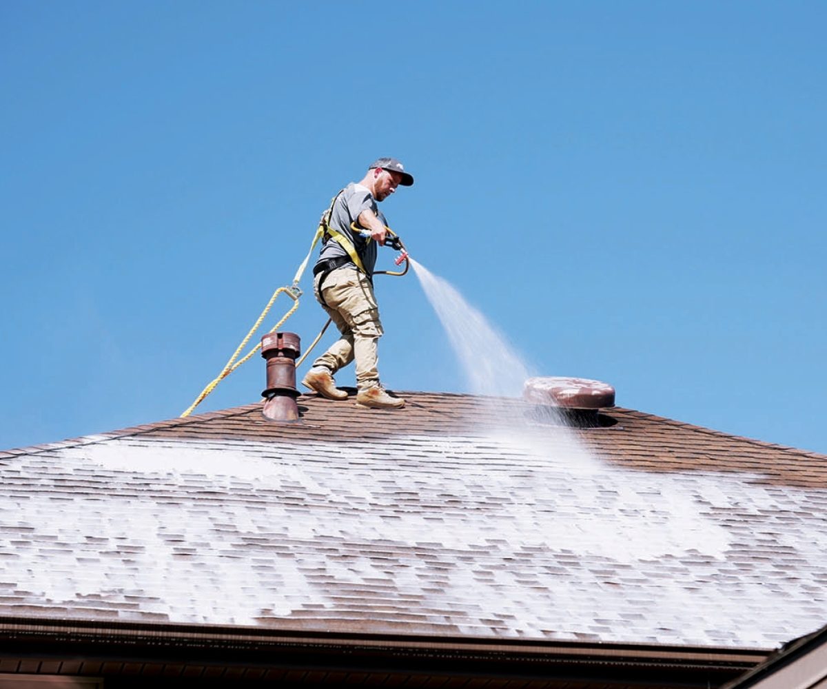 Roof Washing